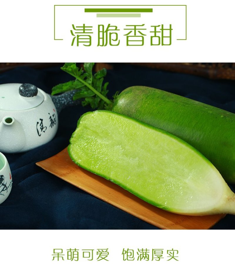 沙窝青萝卜一件代发，电商一件代发平台供应