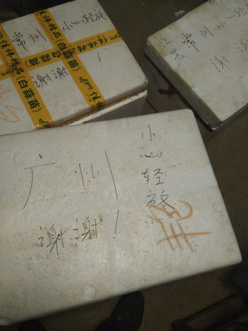 纯天然放养富硒山羊