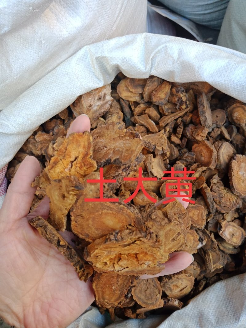 川大黄川大黄西大黄土大黄马蹄大黄各种规格批发