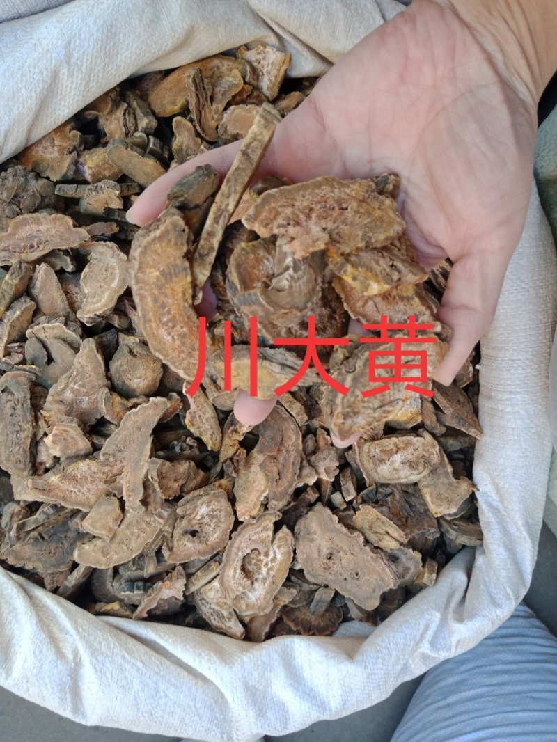 川大黄川大黄西大黄土大黄马蹄大黄各种规格批发