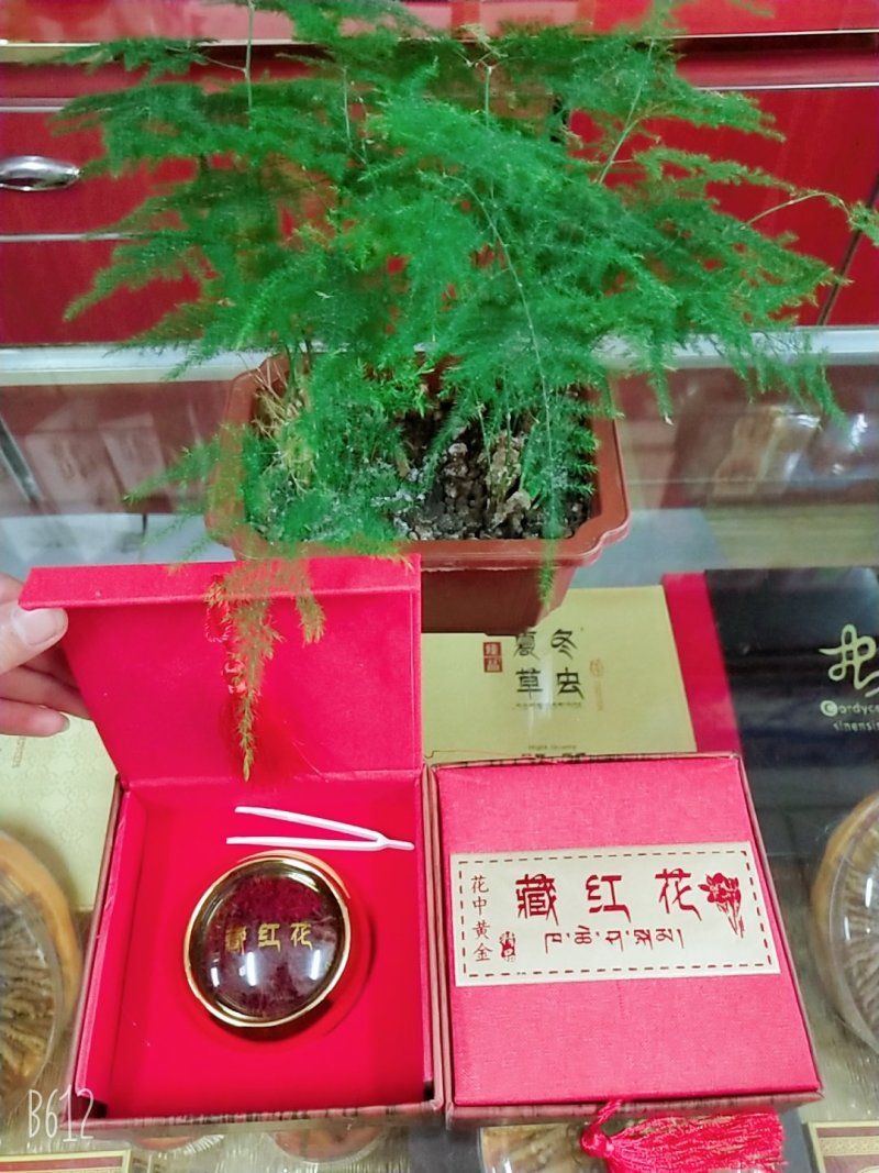 伊朗进口藏红花视频看货，不满意包退，十克起发包邮