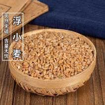 浮小麦无硫无添加浮小麦无杂质品质保证