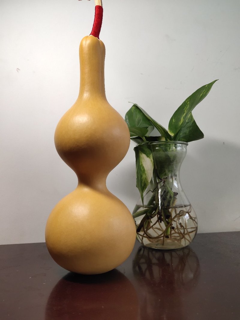 包邮收藏级文玩葫芦面面周正无瑕疵皮质厚重细腻龙头霸气