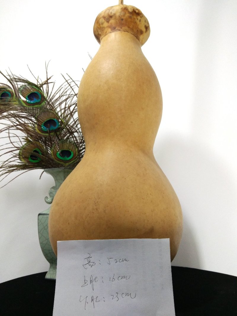 包邮收藏级文玩葫芦面面周正无瑕疵皮质厚重细腻龙头霸气