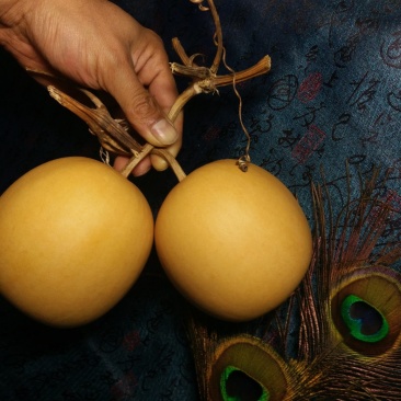 包邮收藏级文玩葫芦面面周正无瑕疵皮质厚重细腻龙头霸气