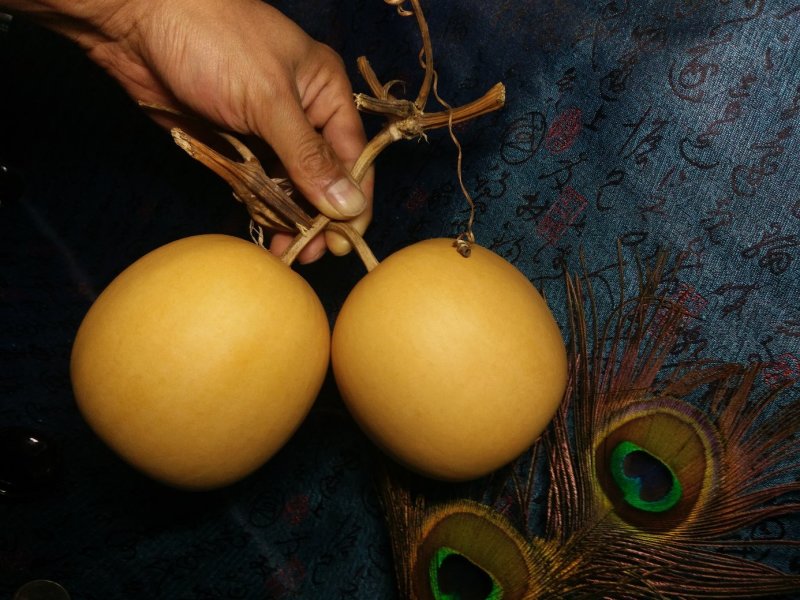 包邮收藏级文玩葫芦面面周正无瑕疵皮质厚重细腻龙头霸气
