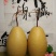 包邮收藏级文玩葫芦面面周正无瑕疵皮质厚重细腻龙头霸气