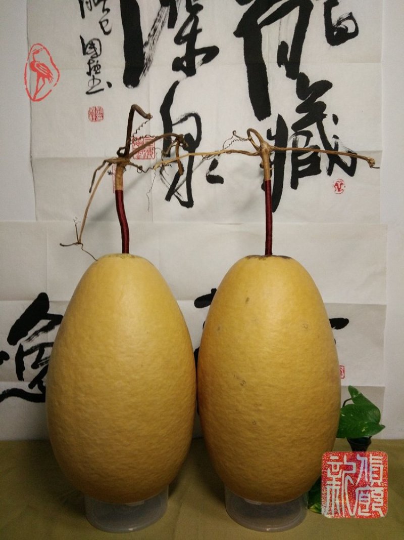 包邮收藏级文玩葫芦面面周正无瑕疵皮质厚重细腻龙头霸气