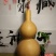 包邮收藏级文玩葫芦面面周正无瑕疵皮质厚重细腻龙头霸气