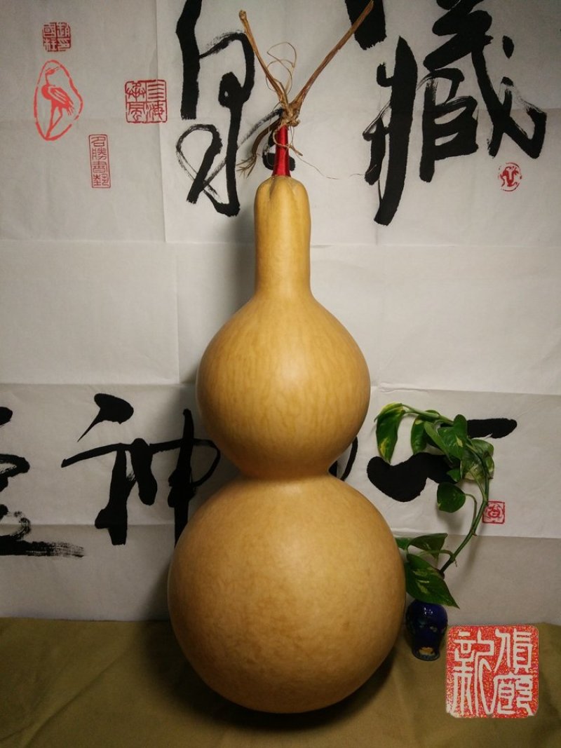 包邮收藏级文玩葫芦面面周正无瑕疵皮质厚重细腻龙头霸气