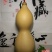 包邮收藏级文玩葫芦面面周正无瑕疵皮质厚重细腻龙头霸气