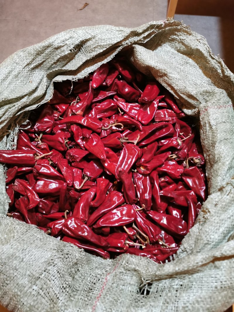 北京红干辣椒8.5成干通货