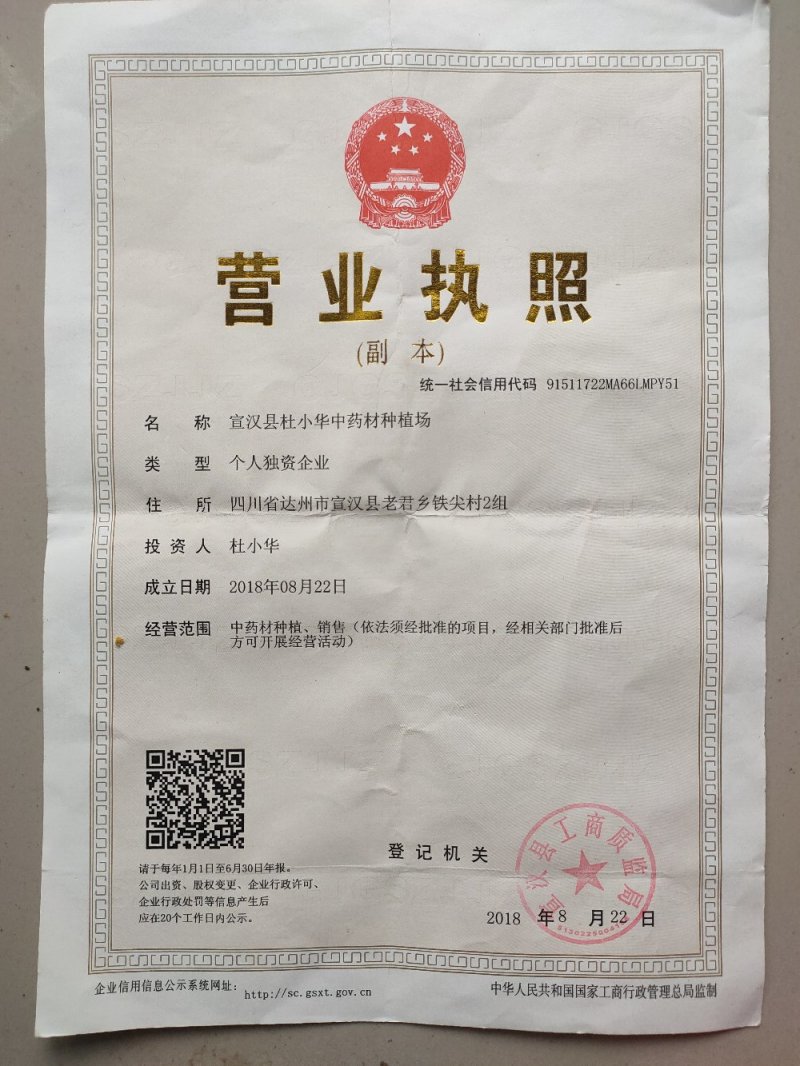 大天冬苗基地直销无条件技术跟踪服务保价回收
