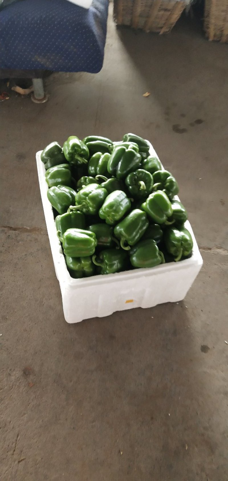 彩椒，红色黄色绿色长年供应产地直供，品种保证，价格合理