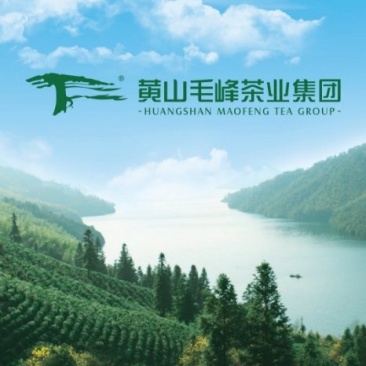 祁门红茶特级礼品装祁眉香螺