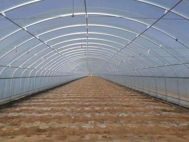 大棚骨架西瓜大棚火龙果大棚草莓大棚育苗花卉大棚