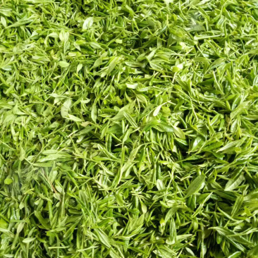 绿茶-都市香茗，细品人生！