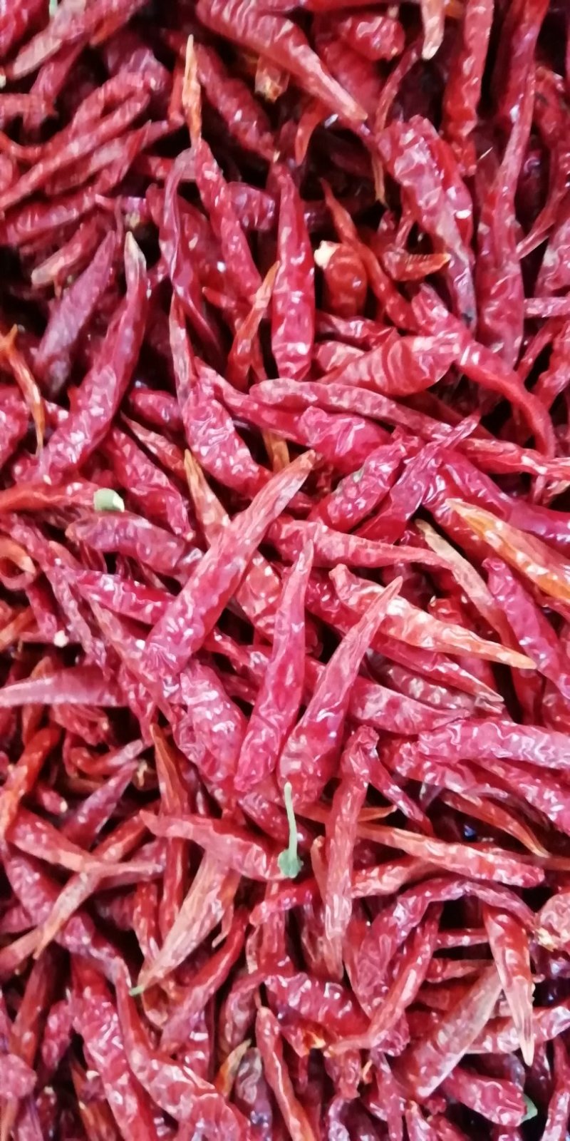 高辣王，辣椒王，干辣椒，特辣王一件起批
