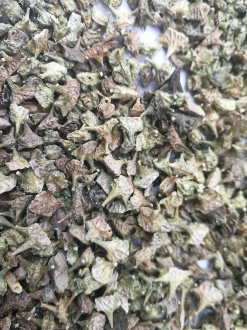 白蒺藜，刺蒺藜，花货内蒙货源产地直销价格优惠品质保证