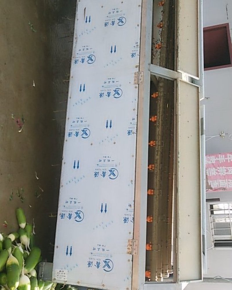 青萝卜