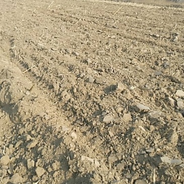土地【水浇地电路渠通畅】