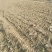 土地【水浇地电路渠通畅】
