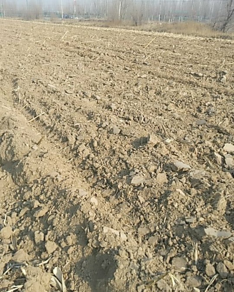 土地【水浇地电路渠通畅】