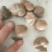 山药豆手捡豆
