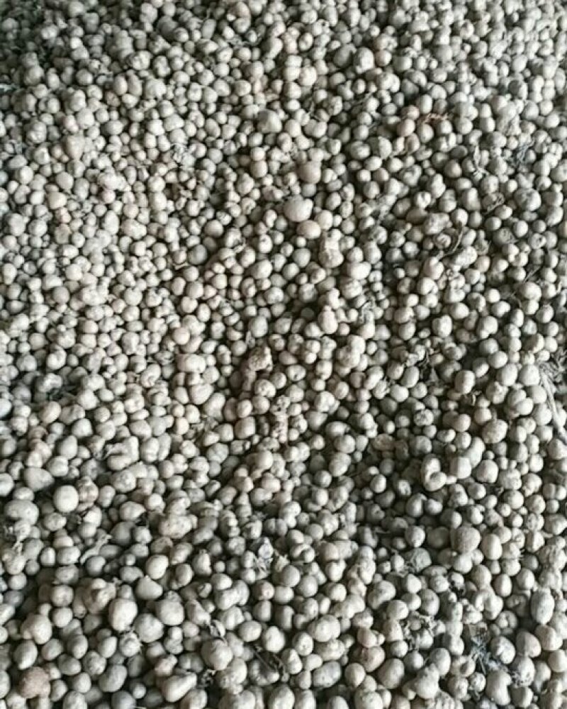 山药豆手捡豆