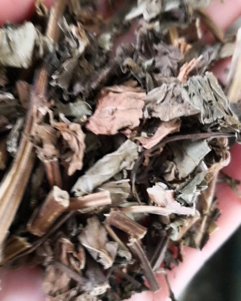 薄荷干货中药材香薄荷量大从优