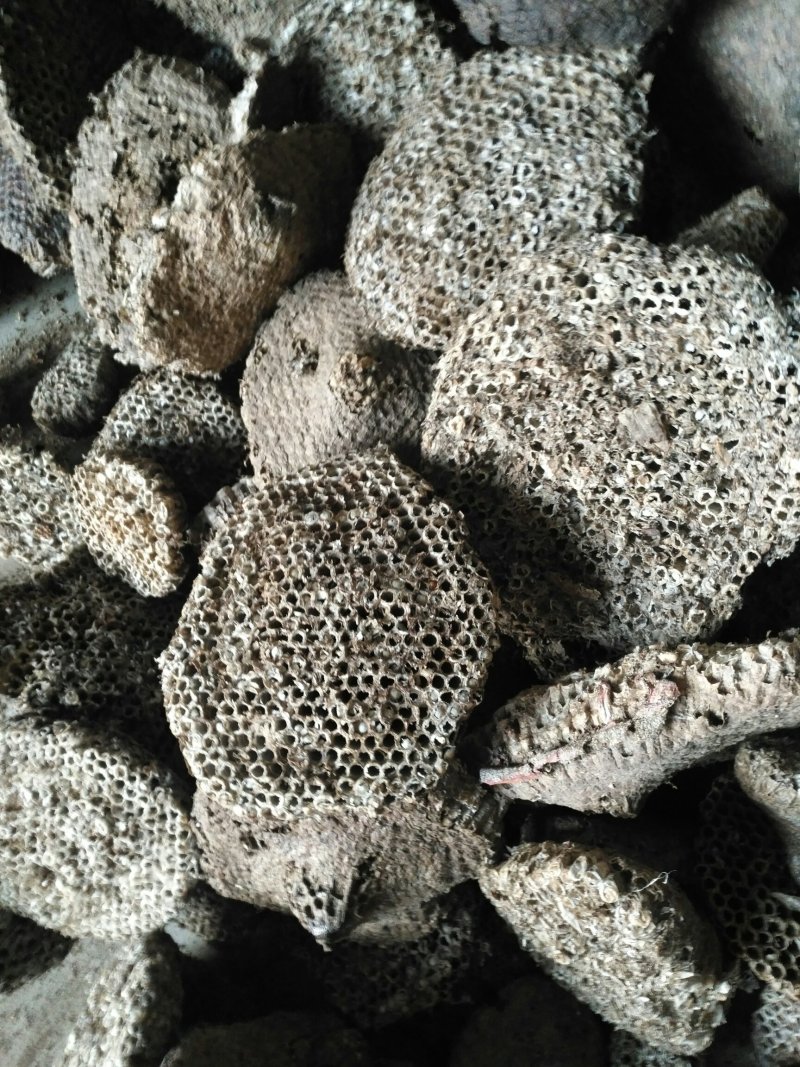 软蜂房，家蜂房大量供应基地直供质量保证欢迎订购