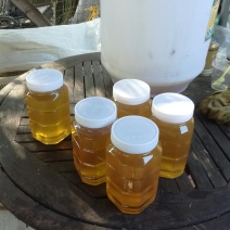 有好货蜂蜜冬蜜光泽透明香气宜人滋味甜润口感细腻