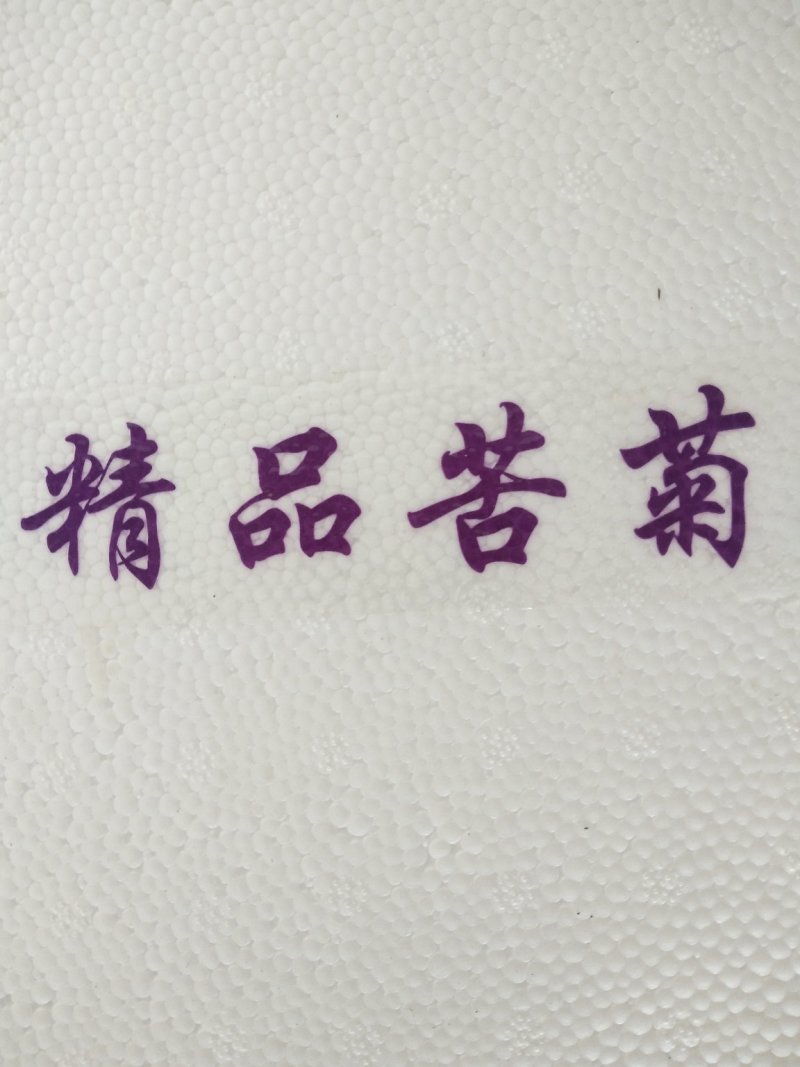 叶菜类精品苦菊
