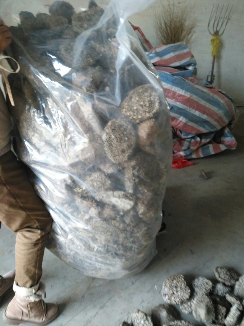软蜂房，家蜂房大量供应基地直供质量保证欢迎订购