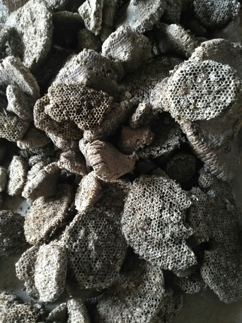 软蜂房，家蜂房大量供应基地直供质量保证欢迎订购