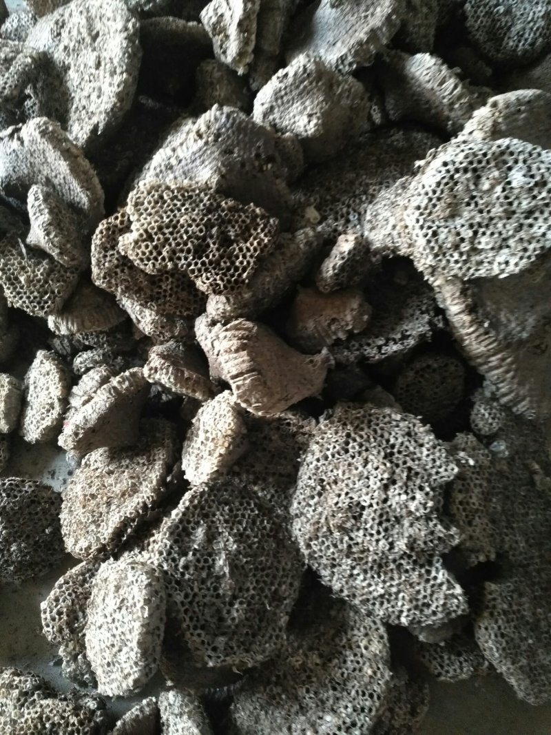 软蜂房，家蜂房大量供应基地直供质量保证欢迎订购