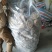 软蜂房，家蜂房大量供应基地直供质量保证欢迎订购