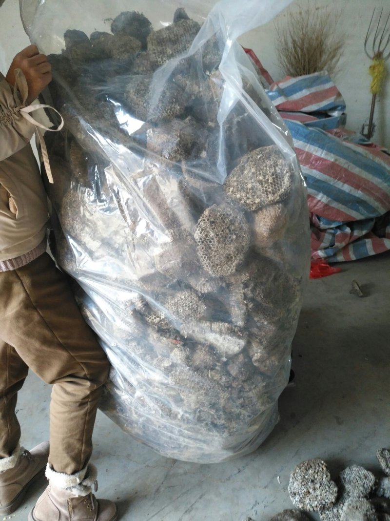 软蜂房，家蜂房大量供应基地直供质量保证欢迎订购