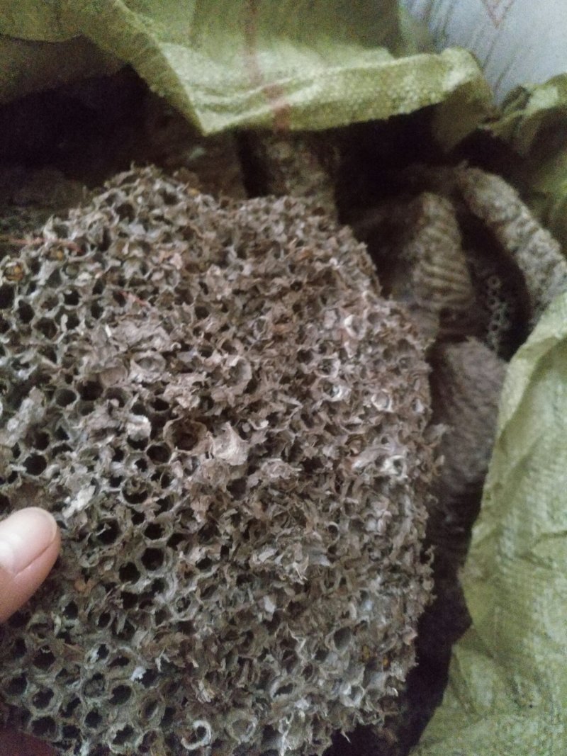 软蜂房，家蜂房大量供应基地直供质量保证欢迎订购