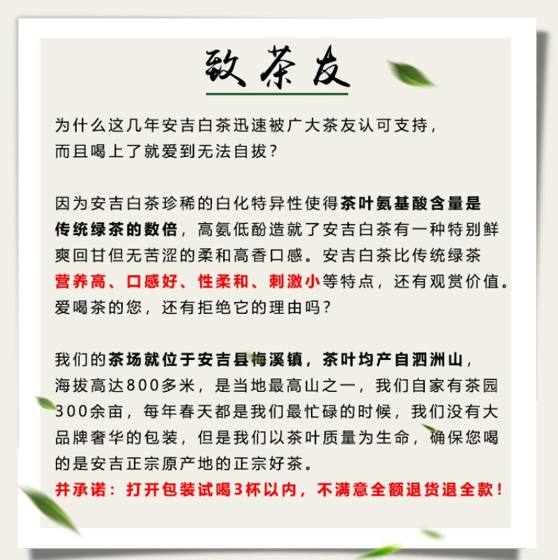 【有好货】白茶安吉县2020年新茶雨前一级250克茶叶