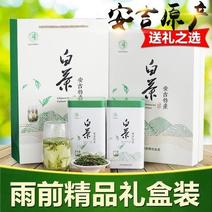 【有好货】白茶安吉县2020年新茶雨前一级250克茶叶