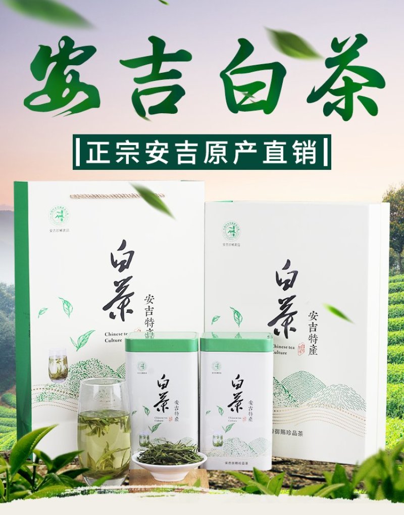【有好货】白茶安吉县2020年新茶雨前一级250克茶叶