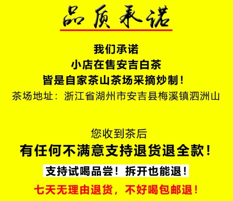 【有好货】白茶安吉县2020年新茶雨前一级250克茶叶
