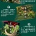 【有好货】白茶安吉县2020年新茶雨前一级250克茶叶