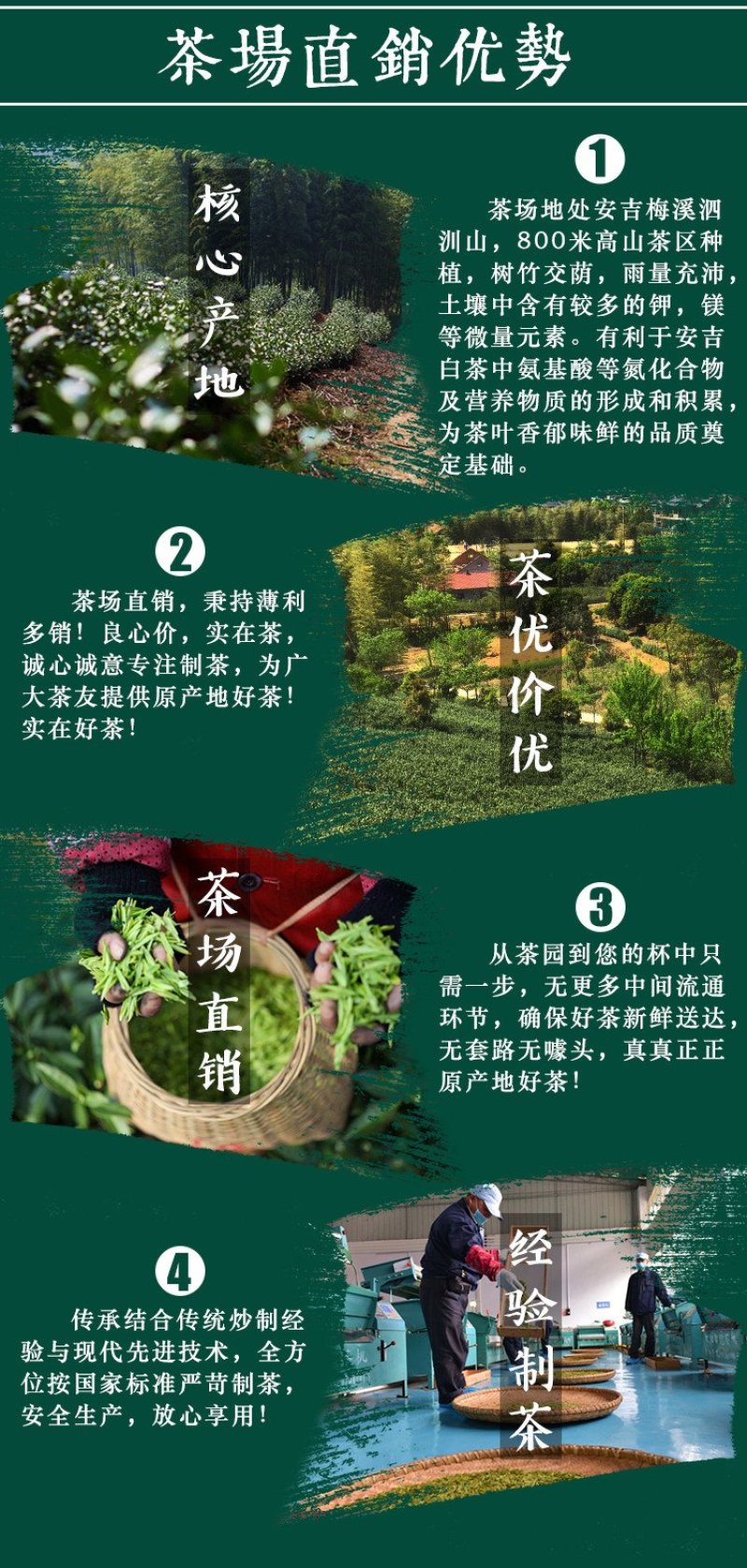 【有好货】白茶安吉县2020年新茶雨前一级250克茶叶