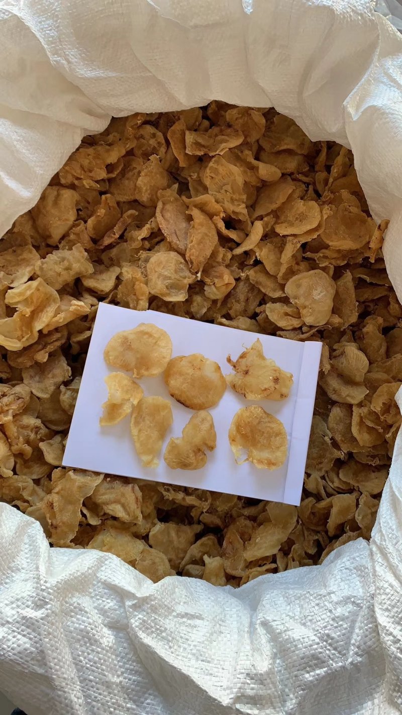 20多头/150头成鱼鱼胶鱼泡干成品