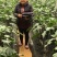 【氨基酸有机肥料】蔬菜花卉苗木80斤装寿光品牌厂家批发