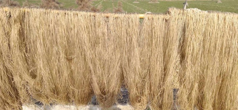 【正宗】纯红薯手工粉条无添加粉从打磨红薯到面粉干到制