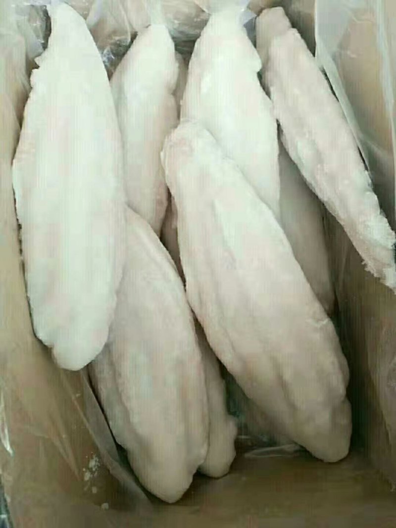 巴沙鱼