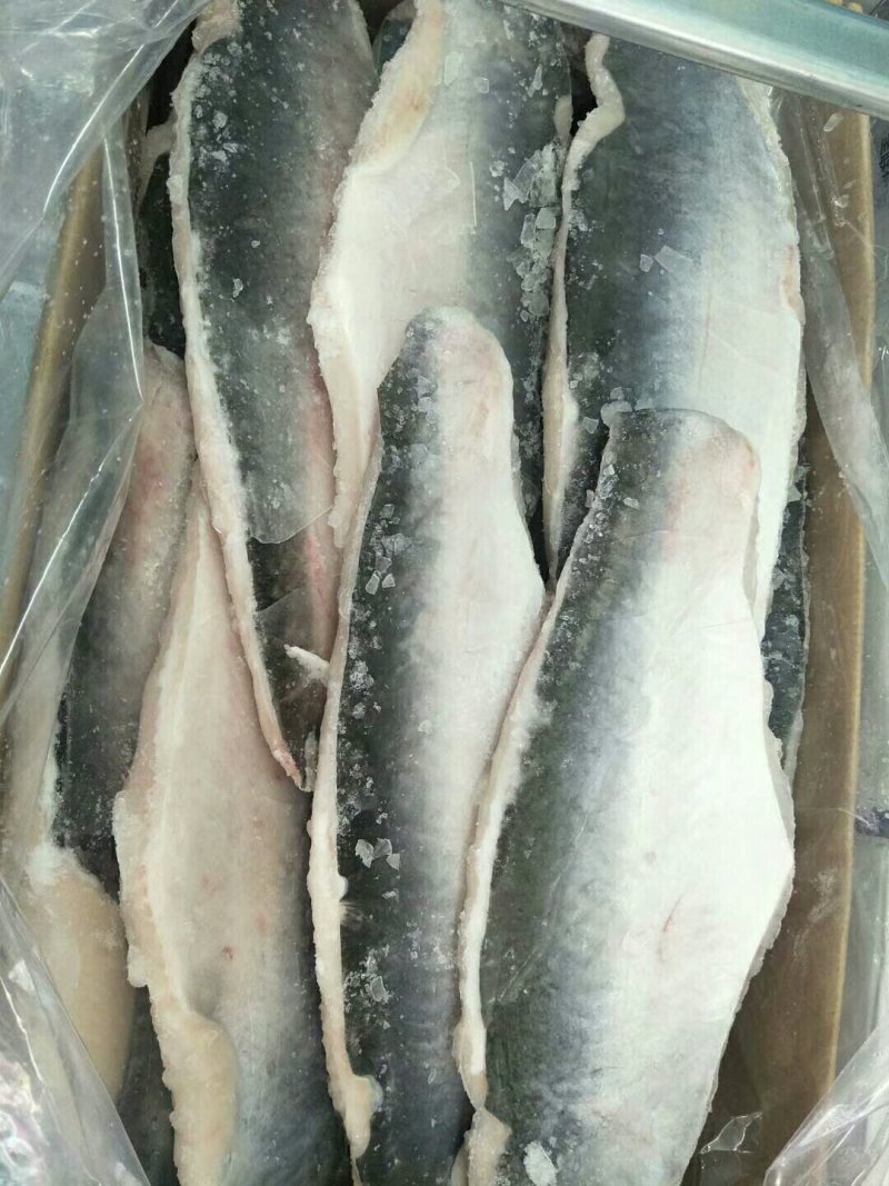 巴沙鱼